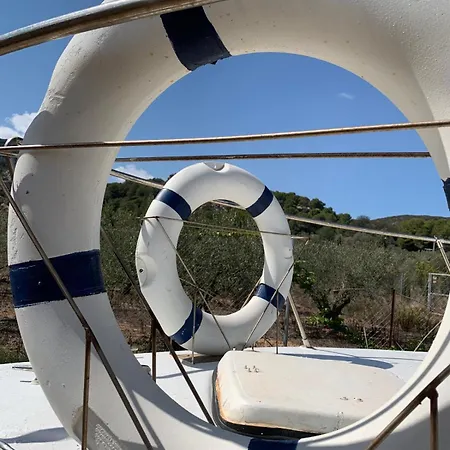 Barco Varado Gandia
